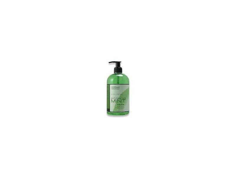 Archipelago Botanicals Morning Mint Hand Wash - 16 oz