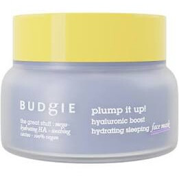Plump It Up! Hydrating Overnight Mask