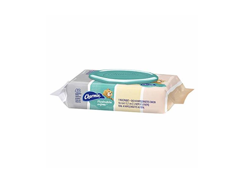 Charmin Charmin Flushable Wipes, 40 count