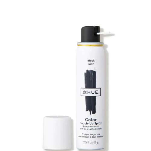 Color Touch-Up Spray