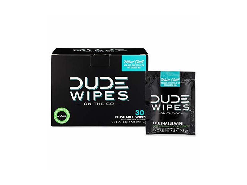 Dude Flushable Wipes, Mint Chill, 30 Wipes