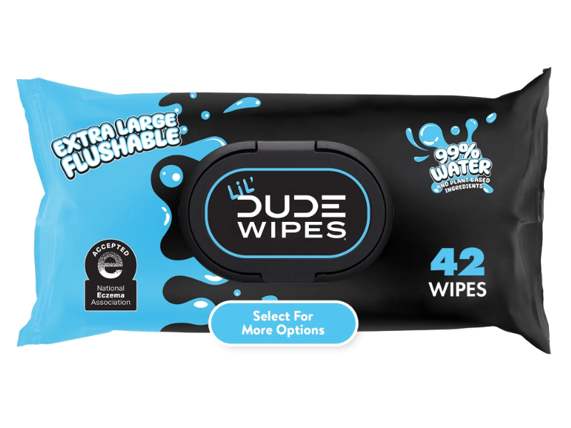 Dude Wipes Flushable Wipes, 42 Count