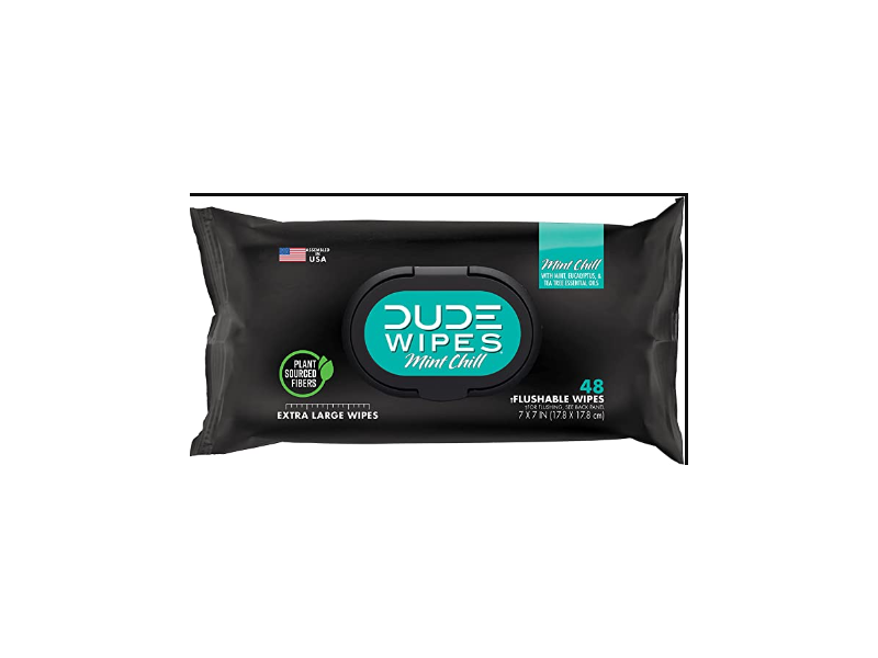 Dude Wipes Flushable Wipes, Mint Chill, 48 Count