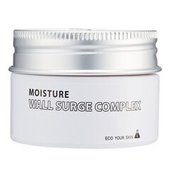 Moisture Wall Surge Complex