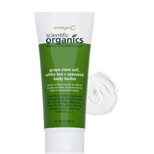 Scientific Organics Grape Stem Cell White Tea And Seaweed Body Butter