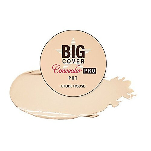 Big Cover Concealer Pro Pot In Beige
