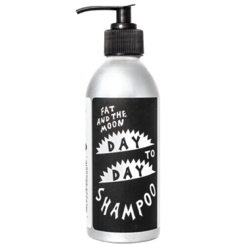 Day To Day Shampoo