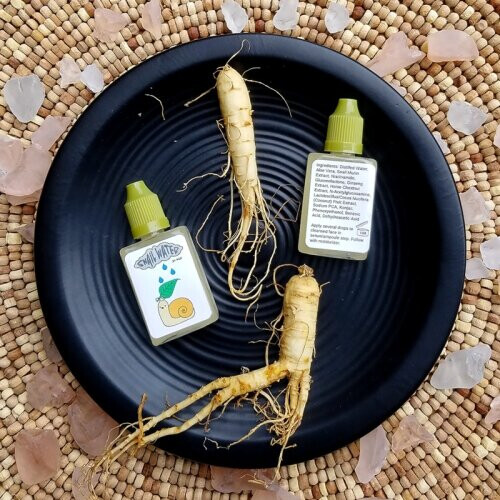 Holy Snail Water (Phenoxyethanol Version)