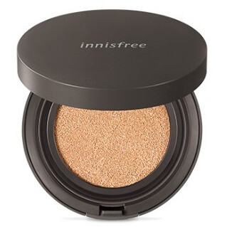 Skinny Coverfit Cushion