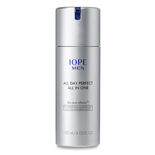 All Day Perfect All In One