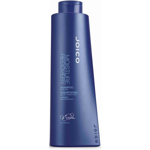 Moisture Recovery Shampoo