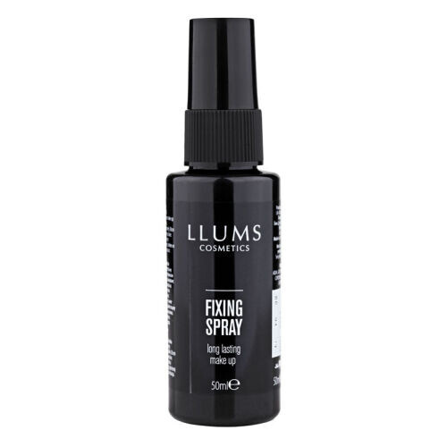 Fixing Spray