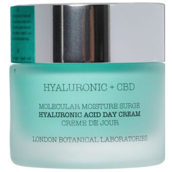 Hyaluronic Acid & CBD Day Cream