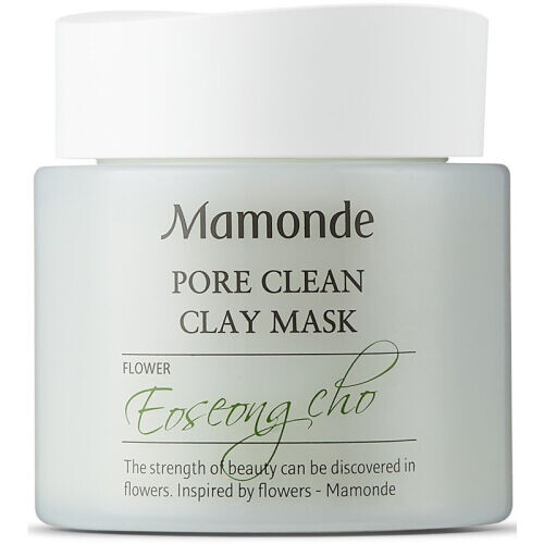 Pore Clean Clay Mask