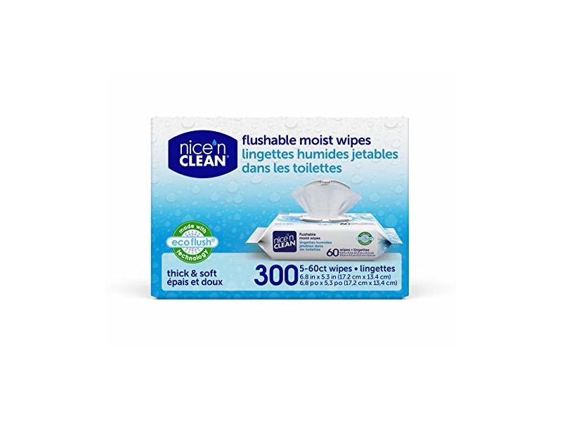 Nice 'N Clean Moist Flushable Wipes, 300 Count