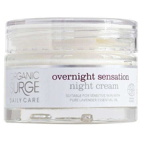 Daily Care Overnight Sensation Night Cream