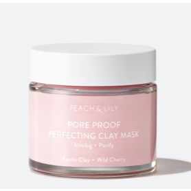Pore Proof Perfecting Clay Mask