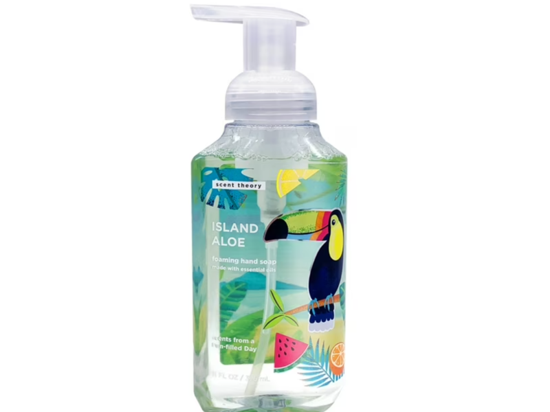 Scent Theory Island Aloe Foaming Hand Soap, 11 fl oz/325 mL
