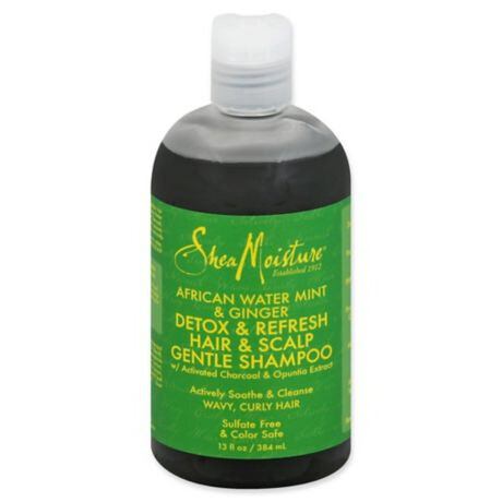 African Water Mint & Ginger Detox Hair & Scalp Gentle Shampoo