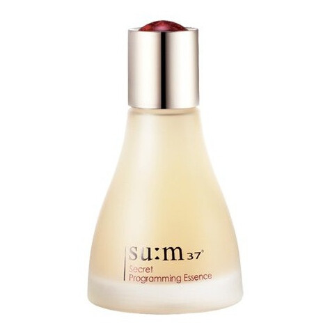 Secret Programming Essence