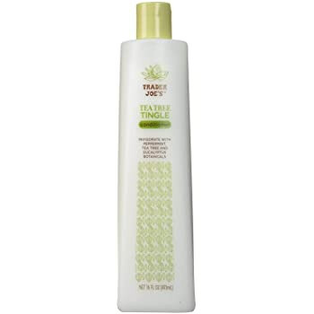 Tea Tree Tingle Leave In Conditioner