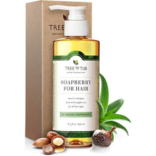 Organic Argan Shampoo For Oily Hair