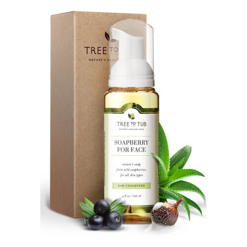 Soapberry Facial Cleanser Raw Unscented