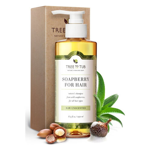 Soapberry Shampoo Raw Unscented