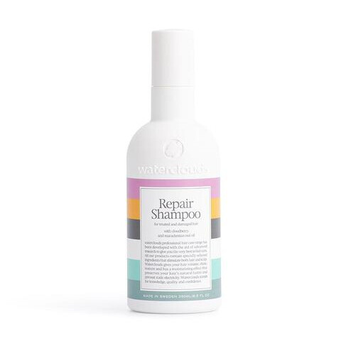Repair Shampoo