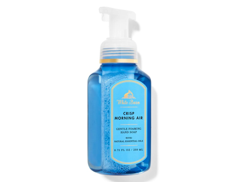 White Barn Crisp Morning Air Gentle & Clean Foaming Hand Soap, 8.75 fl oz/259 mL, Set Of 2