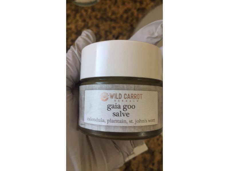 Wild Carrot Gaia Goo Salve