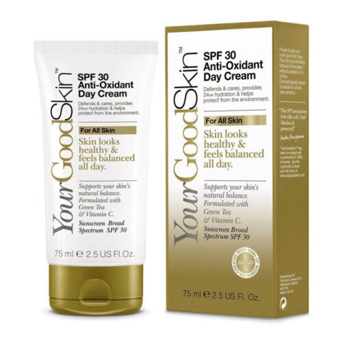 SPF 30 Anti-Oxidant Day Cream
