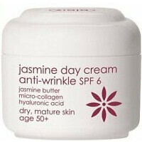 Jasmine Day Cream Anti-wrinkle SPF6